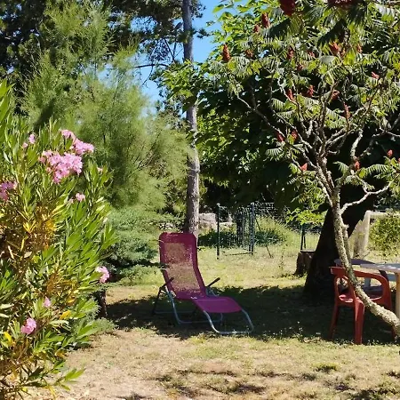 Bienvenus Chez Moi * ברז'אק